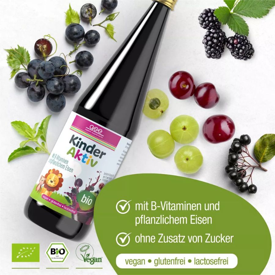GSE Kinder Aktiv Complex Bio 330ml