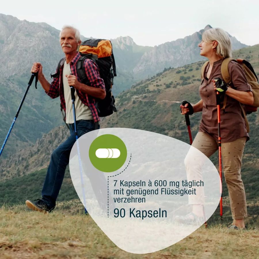 GSE Omega 3 Perillaöl 90 Kapseln à 600 mg Bio , 54g