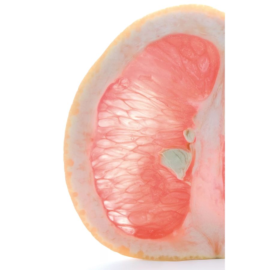GSE CitroPlus® 800 Grapefruit-Kern-Extrakt (Bio) 250ml