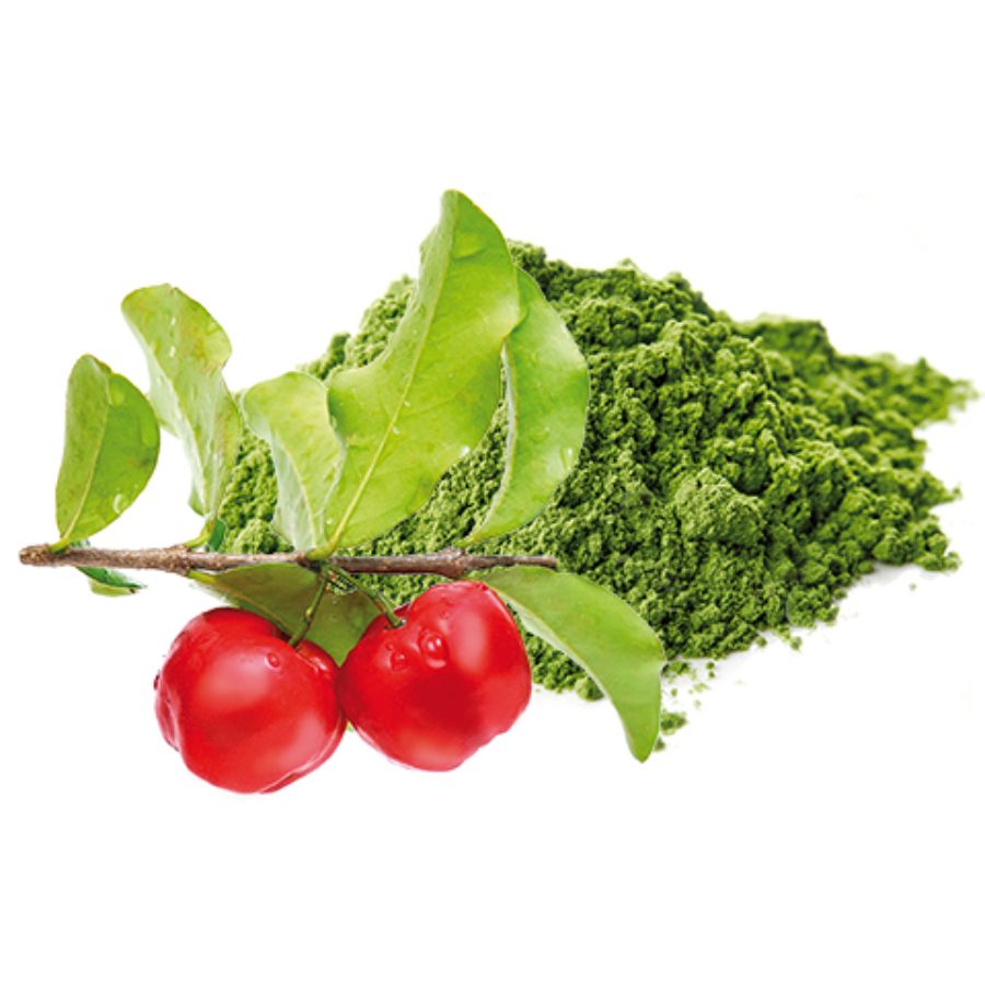 Sanatur Zink Spirulina & Acerola 180 Kapseln Bio (90 g)