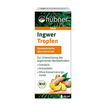 Anton Hübner Ingwer Tropfen Bio 20ml