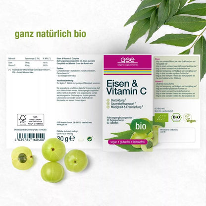 GSE Eisen & Vitamin C Complex (Bio), 60 Tbl. à 500 mg, 30g