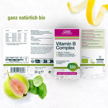 GSE Vitamin B Complex (Bio), 60 Tabl. à 500mg, 30g