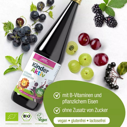 GSE Kinder Aktiv Complex Bio 330ml