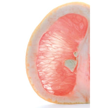 GSE CitroPlus® 800 Grapefruit-Kern-Extrakt (Bio) 50ml