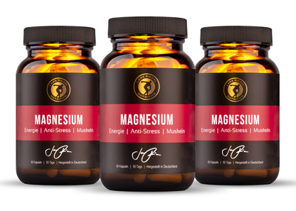 3 x Magnesium