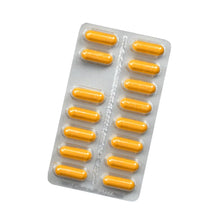 Salus Darm-Care Curcuma Bioaktiv 90 Kapseln